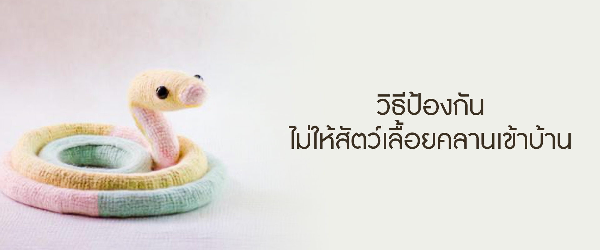 ไม่อยากให้สัตว์เลื้อยคลานเข้าบ้าน ต้องหาวิธีป้องกันเอาไว้ก่อน